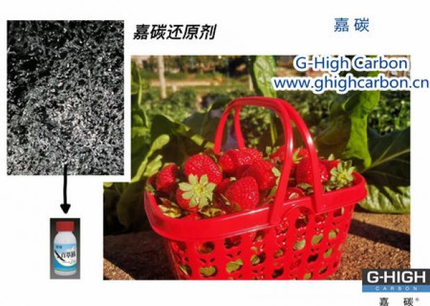 嘉碳還原劑守護(hù)“莓”好，甜蜜上線