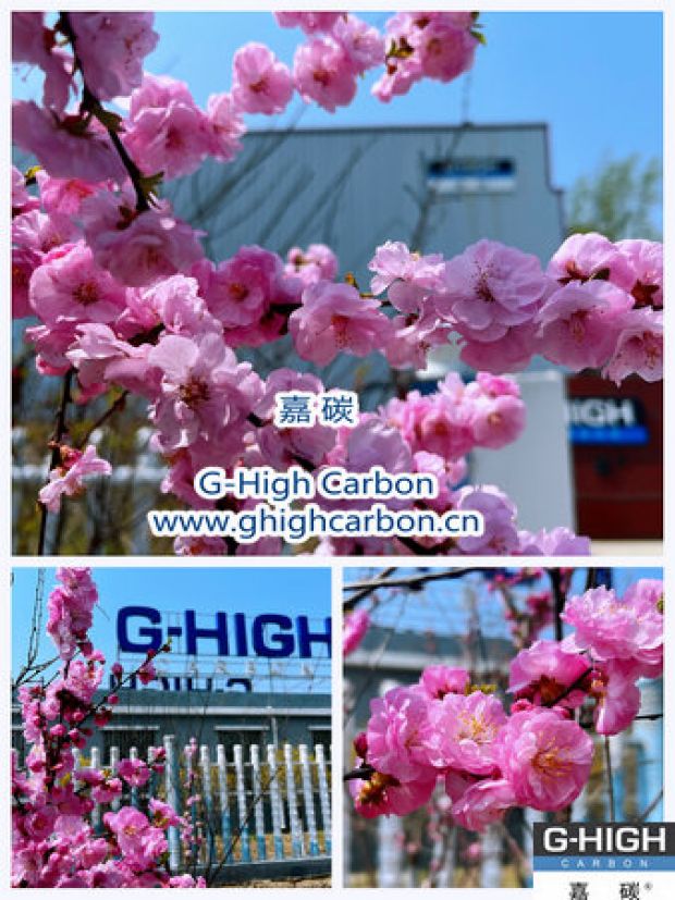 環(huán)保嘉碳，春花爛漫